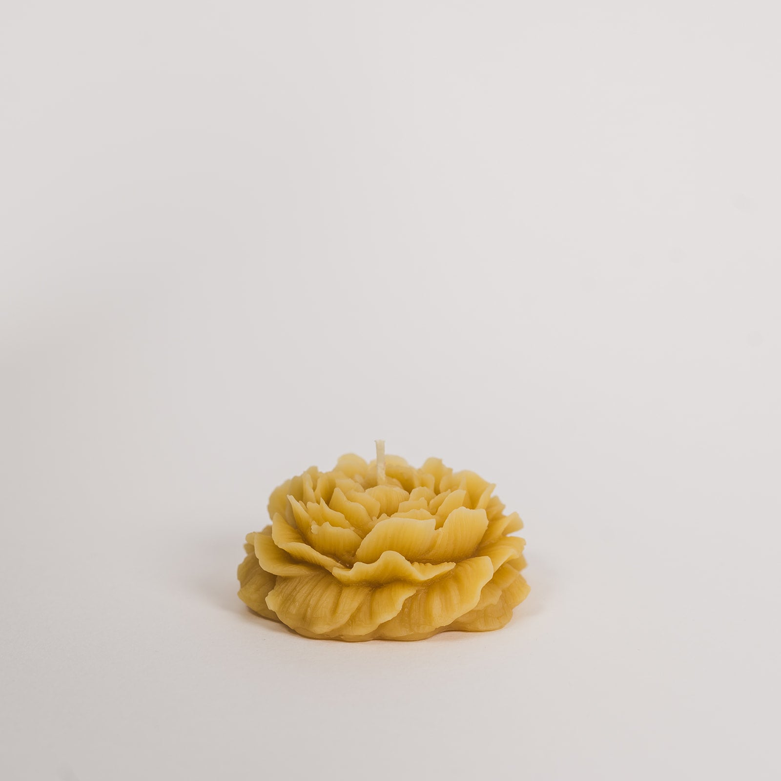 Peony Rose Beeswax Candle