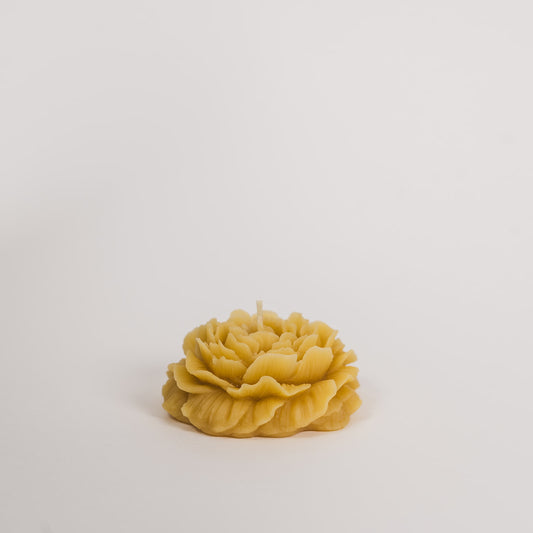 Peony Rose Beeswax Candle